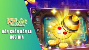 Bán chẵn bán lẻ xóc đĩa là gì và cách chọn thông minh